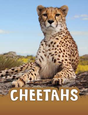 Cheetahs de Jaclyn Jaycox