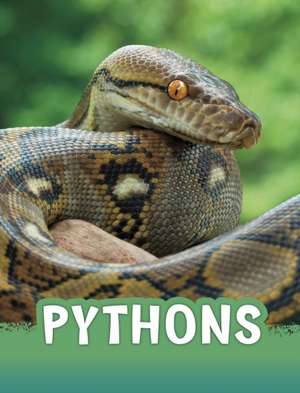 Rustad, M: Pythons