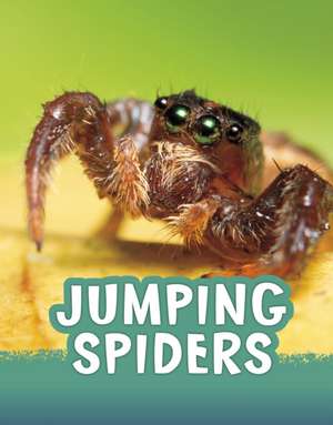 Jumping Spiders de Jaclyn Jaycox