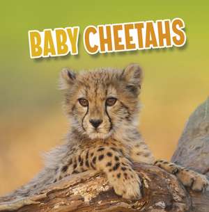 Baby Cheetahs de Martha E. H. Rustad