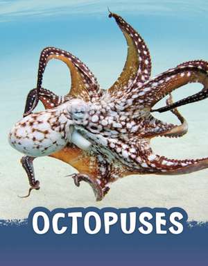 Jaycox, J: Octopuses de Jaclyn Jaycox