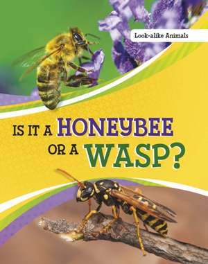 Is It a Honeybee or a Wasp? de Susan B. Katz