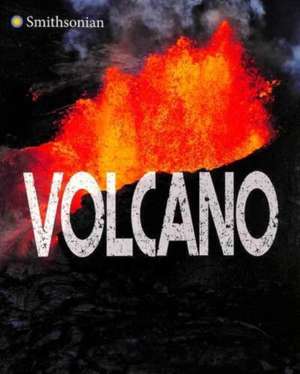 Volcano de Mary Cerullo