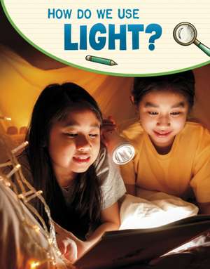 How Do We Use Light? de Emily Raij