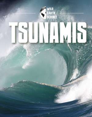 Kerry, I: Tsunamis