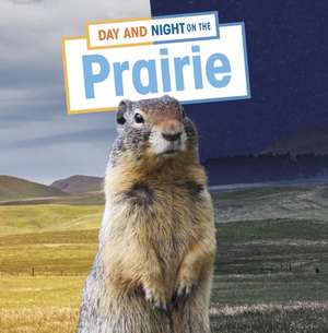 Day and Night on the Prairie de Ellen Labrecque