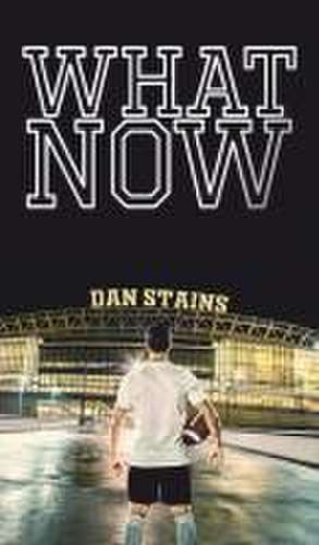 What Now de Dan Stains