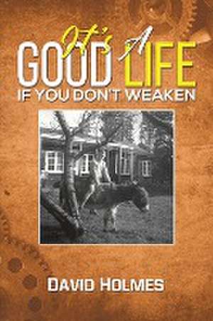 It's a Good Life If You Don't Weaken de David Holmes