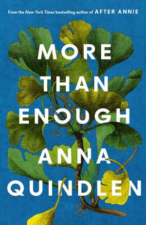More Than Enough de Anna Quindlen