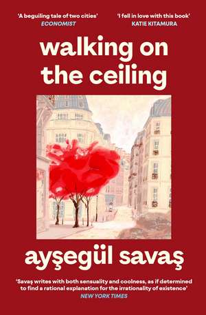Walking on the Ceiling de Aysegül Savas
