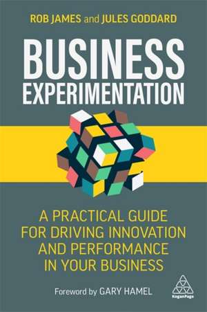 Business Experimentation – A Practical Guide for Driving Innovation and Performance in Your Business de Rob James