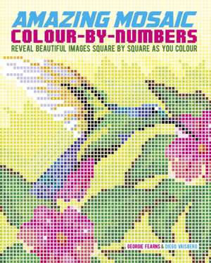 Amazing Mosaic Colour-By-Numbers de Diego Vaisberg