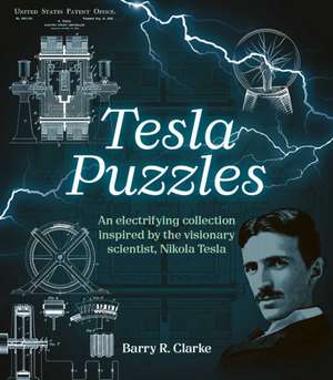 Tesla Puzzles de Barry R Clarke