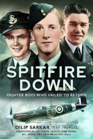 Spitfire Down de Dilip Sarkar