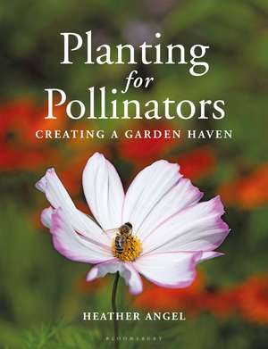 Planting for Pollinators: Creating a Garden Haven de Heather Angel