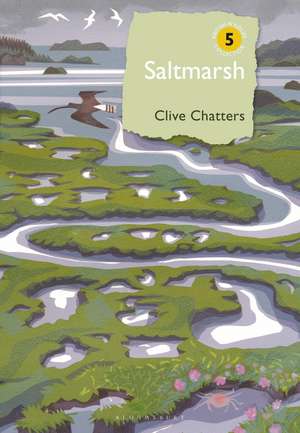 Saltmarsh de Clive Chatters