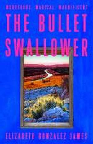 The Bullet Swallower de Elizabeth Gonzalez James