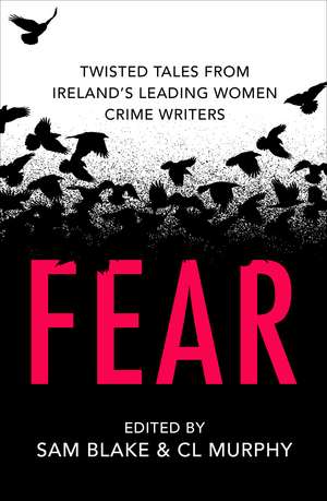 Fear: Twisted Tales from Ireland’s Leading Women Crime Writers de Sam Blake