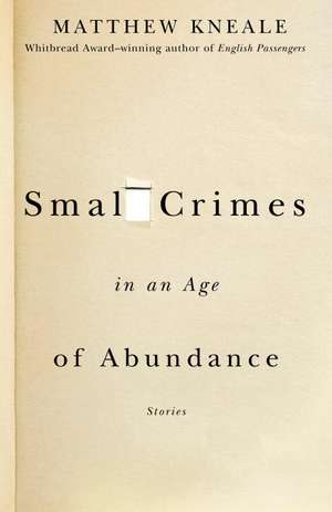 Small Crimes in an Age of Abundance de Matthew Kneale