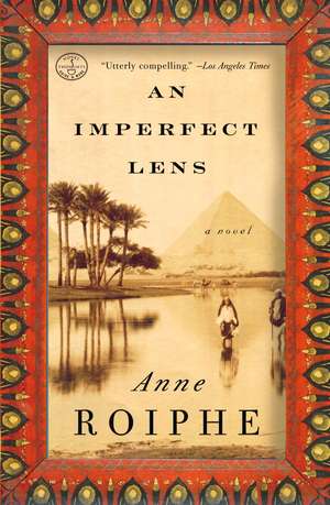 An Imperfect Lens de Anne Roiphe