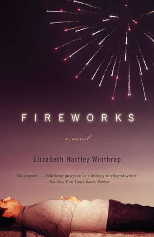 Fireworks de Elizabeth Hartley Winthrop