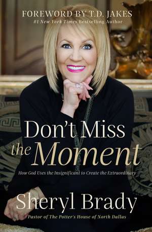 Don't Miss the Moment: How God Uses the Insignificant to Create the Extraordinary de Sheryl Brady