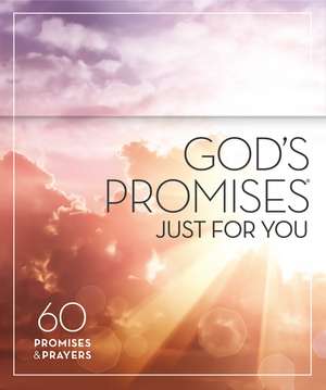 God's Promises Just for You: 60 Promises and Prayers (Prayer Cards) de Jack Countryman