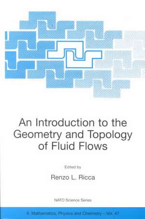 An Introduction to the Geometry and Topology of Fluid Flows de Renzo L. Ricca