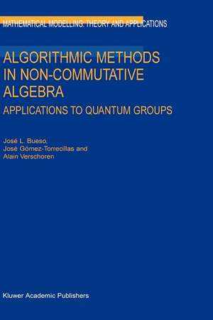 Algorithmic Methods in Non-Commutative Algebra: Applications to Quantum Groups de J.L. Bueso