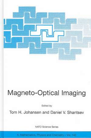 Magneto-Optical Imaging de Tom H. Johansen