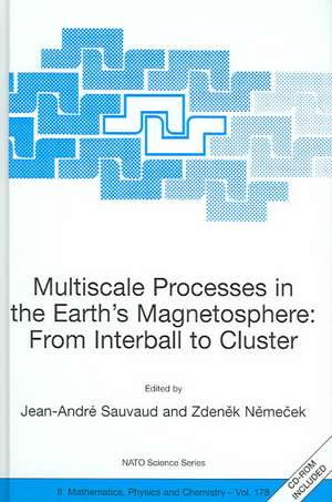 Multiscale Processes in the Earth's Magnetosphere: From Interball to Cluster: Proceedings of the NATO ARW on Multiscale Processes in the Earth's Magnetosphere: From Interball to Cluster, Prague, Czech Republic from 9 to 12 September 2003 de Jean-Andre Sauvaud