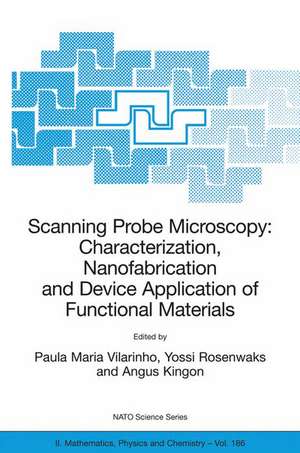 Scanning Probe Microscopy: Characterization, Nanofabrication and Device Application of Functional Materials: Proceedings of the NATO Advanced Study Institute on Scanning Probe Microscopy: Characterization, Nanofabrication and Device Application of Functional Materials, Algarve, Portugal, 1 - 13 October 2002 de Paula M. Vilarinho