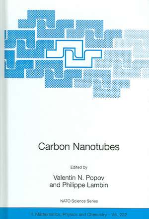 Carbon Nanotubes: From Basic Research to Nanotechnology de Valentin N. Popov