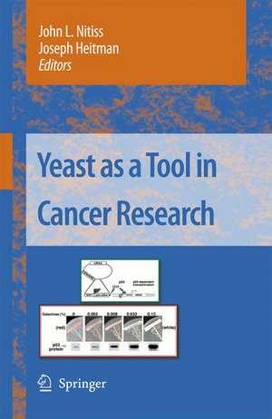 Yeast as a Tool in Cancer Research de John L Nitiss