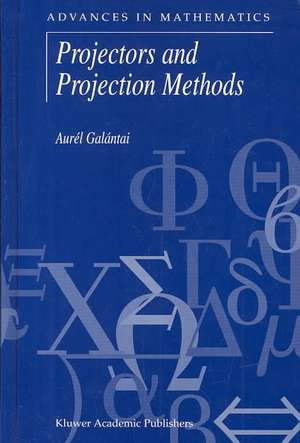 Projectors and Projection Methods de Aurél Galántai