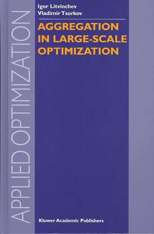 Aggregation in Large-Scale Optimization de I. Litvinchev