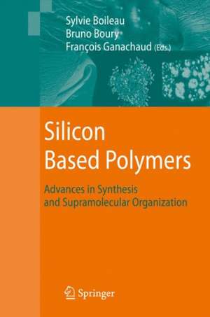 Silicon Based Polymers: Advances in Synthesis and Supramolecular Organization de François Ganachaud