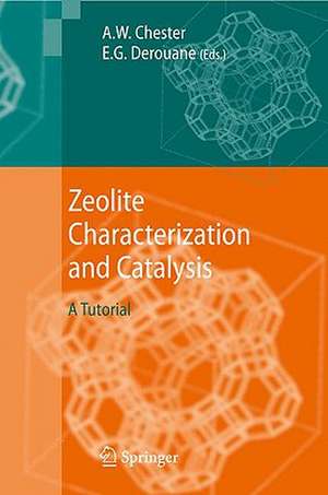 Zeolite Characterization and Catalysis de Arthur W Chester