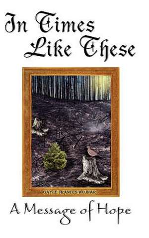 In Times Like These de Gayle Frances Wojnar