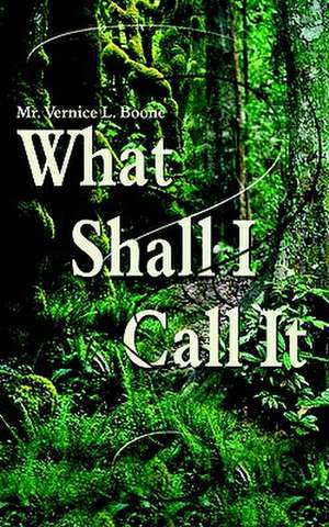 What Shall I Call It? de Vernice L. Boone