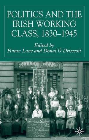 Politics and the Irish Working Class, 1830–1945 de Kenneth A. Loparo