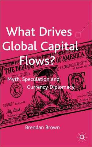 What Drives Global Capital Flows?: Myth, Speculation and Currency Diplomacy de B. Brown