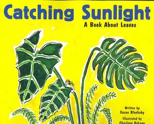 Catching Sunlight: A Book about Leaves de Susan Blackaby