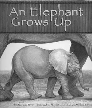 An Elephant Grows Up de Anastasia Suen