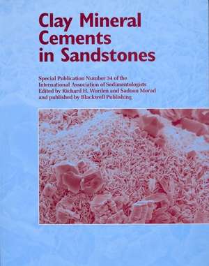 Clay Mineral Cements in Sandstones – Special Publication 34 of the IAS de RH Worden