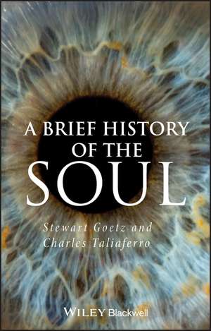 A Brief History of the Soul de S Goetz