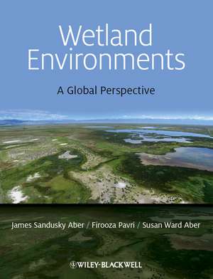 Wetland Environments – A Global Perspective de J Aber