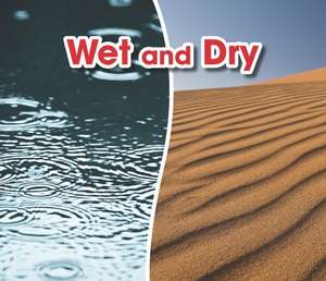 Smith, S: Wet and Dry de Sian Smith