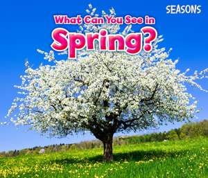 Smith, S: What Can You See In Spring?