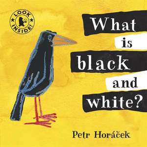 What Is Black and White? de Petr Horacek